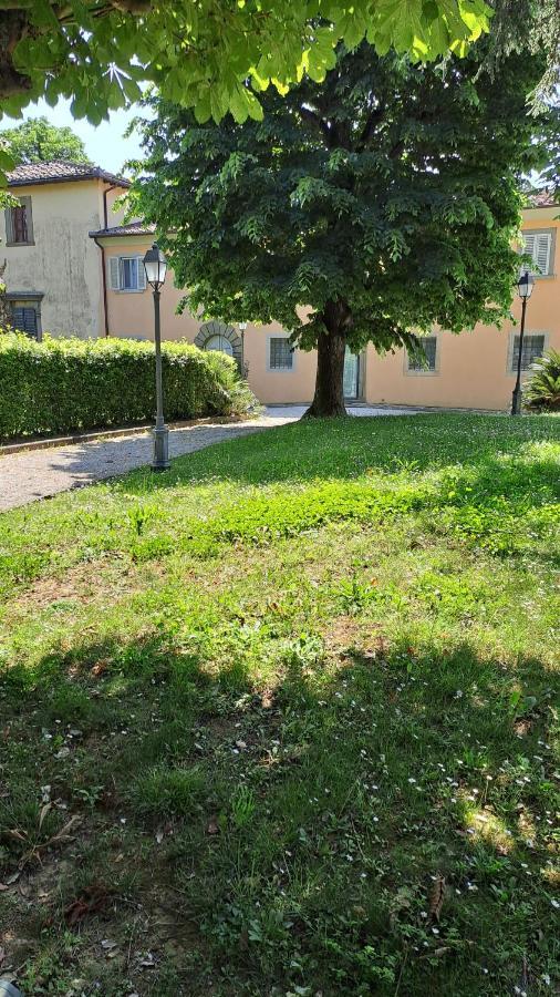 Dependance In Albachiara E Primaluce Holiday home *